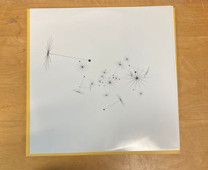 Magpie and the Dandelion - The Avett Brothers