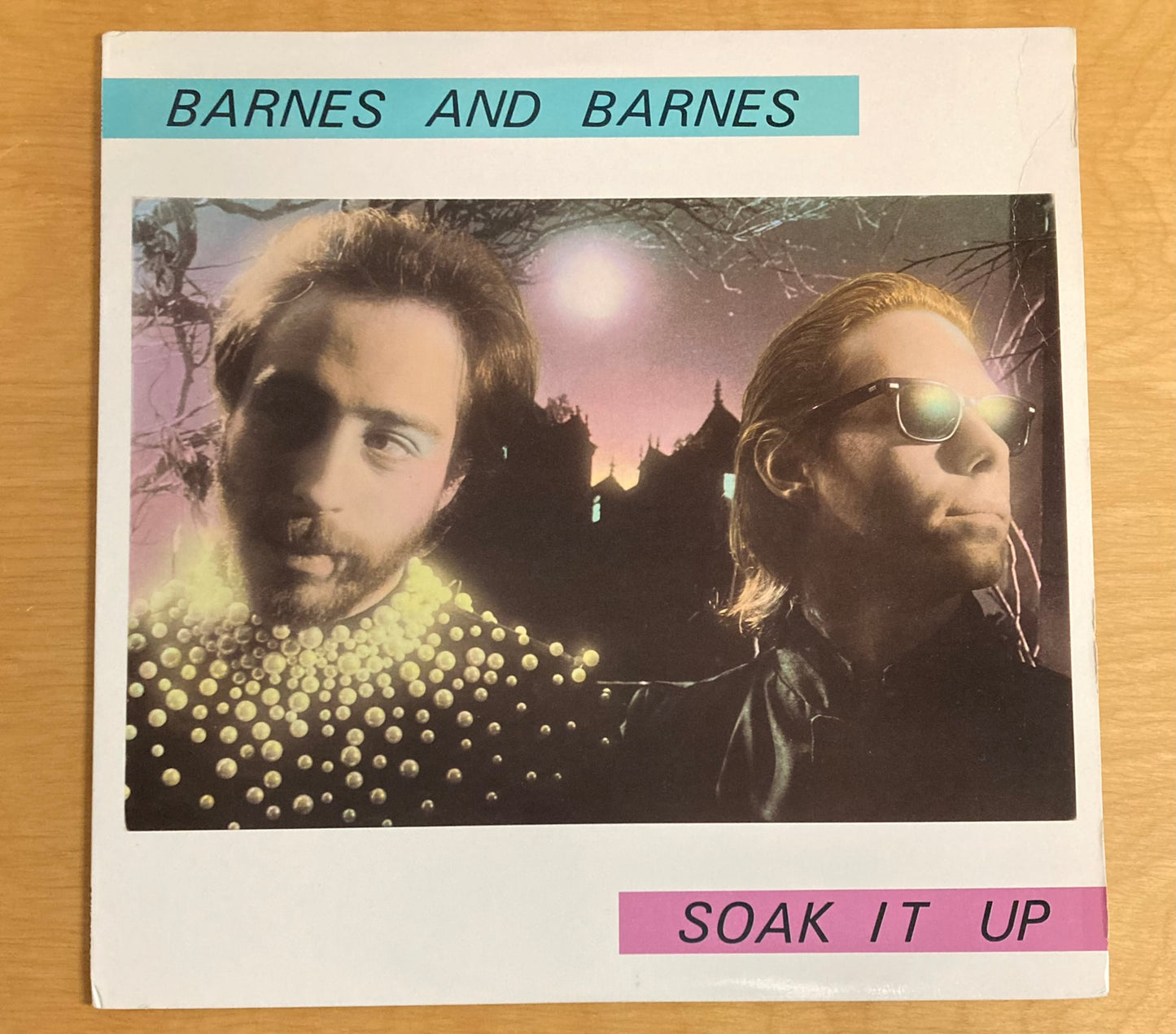 Soak It Up - Barnes And Barnes
