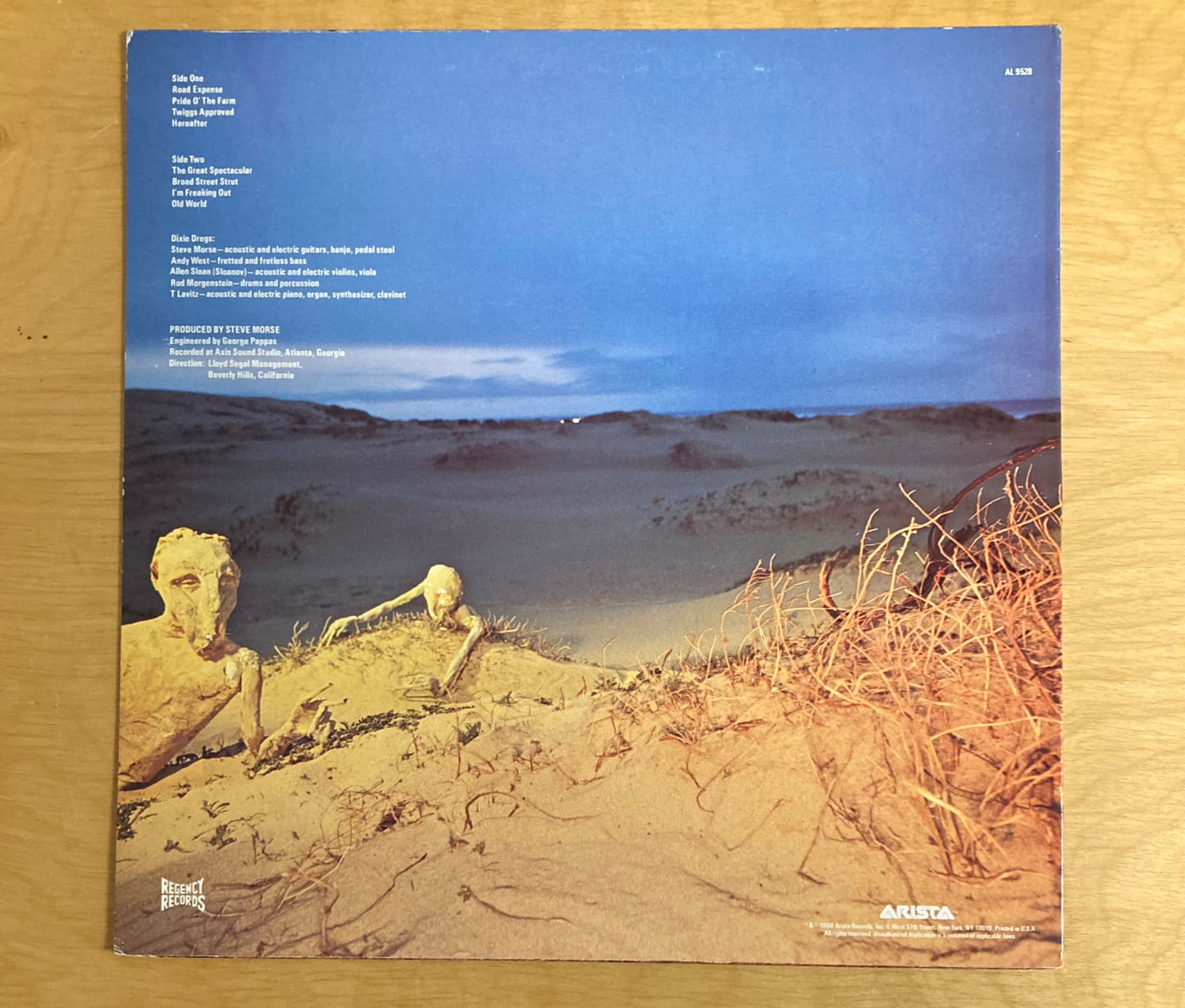 Dregs Of The Earth - Dixie Dregs