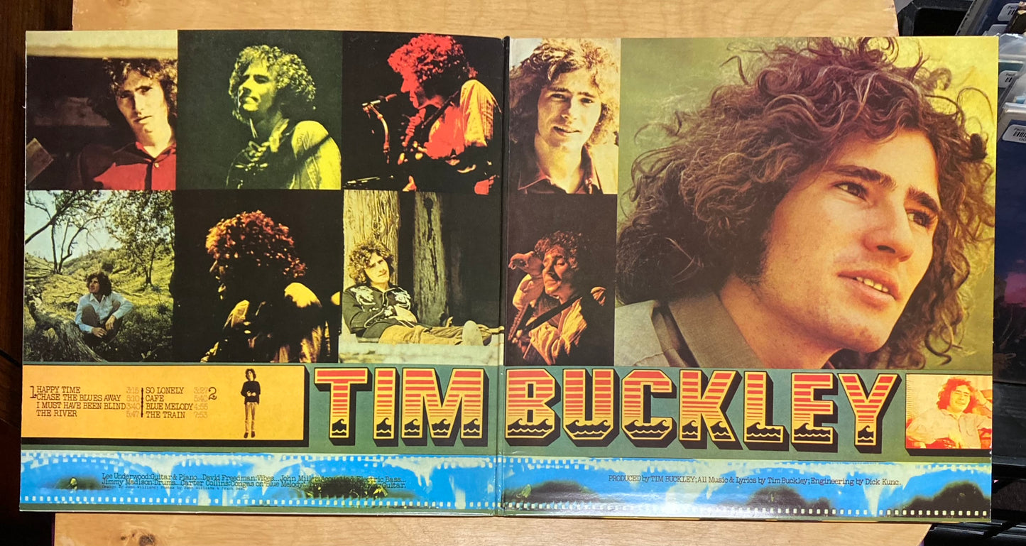 Blue Afternoon - Tim Buckley