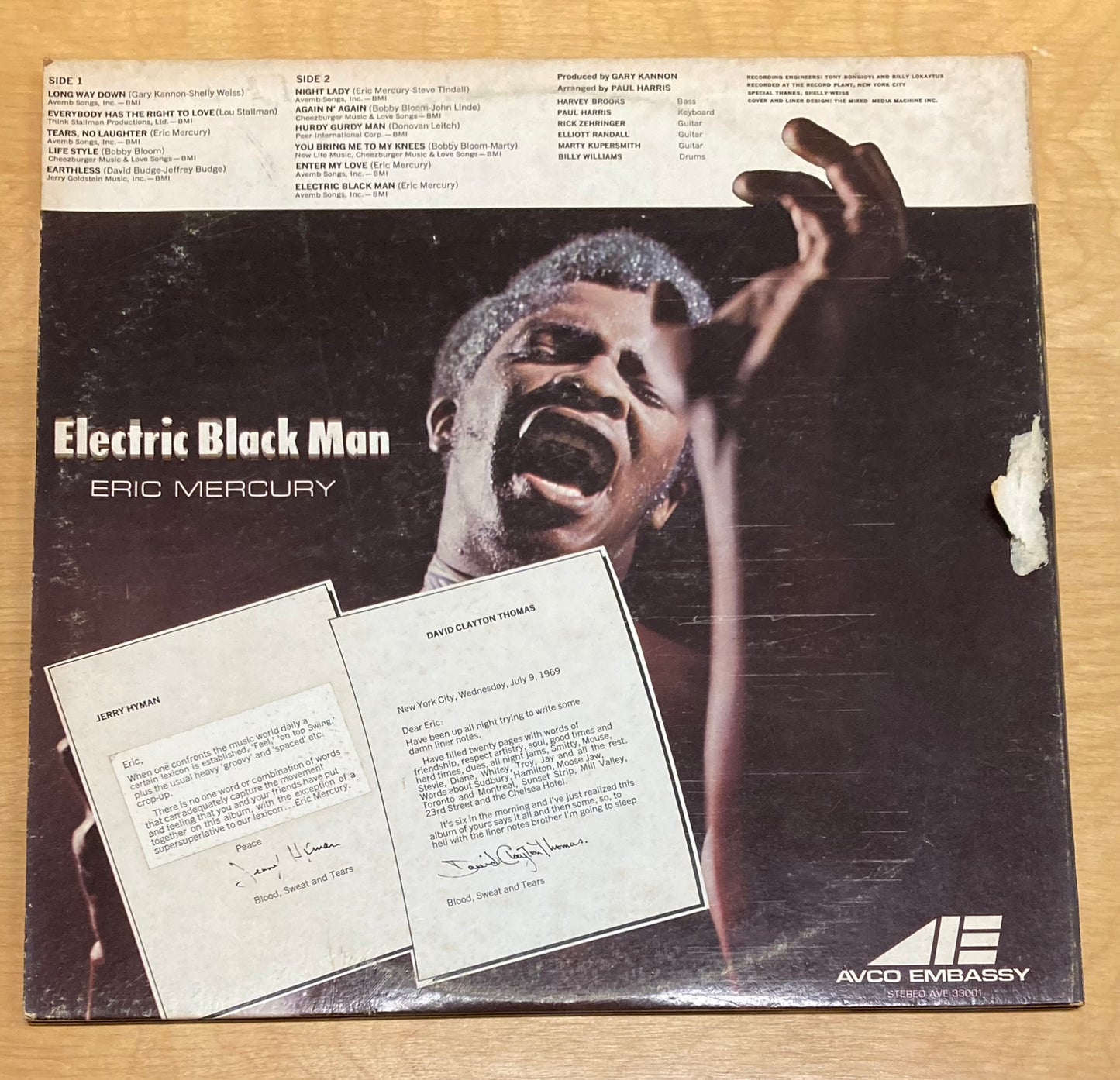 Electric Black Man - Eric Mercury