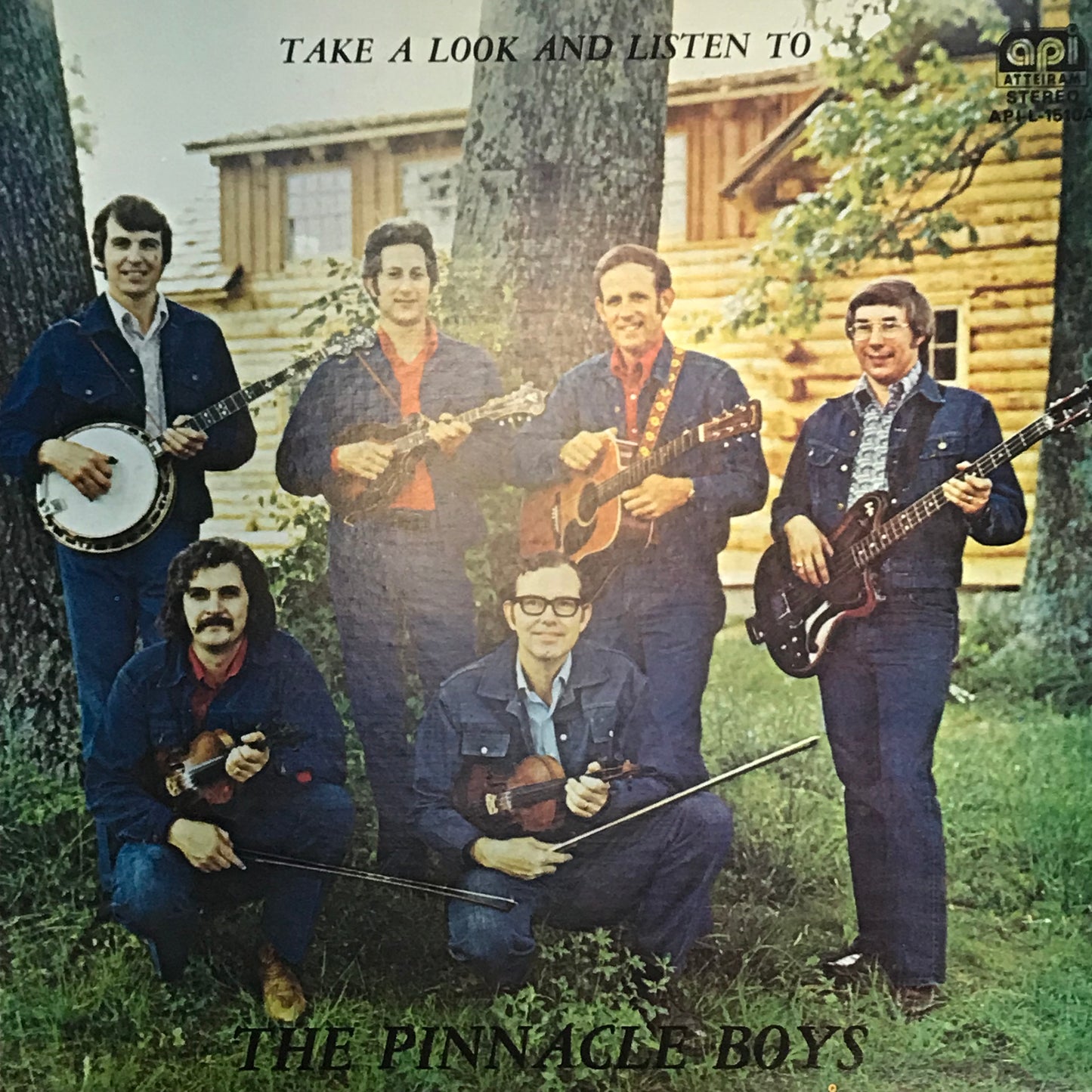 Take A Look And Listen To - The Pinnacle Boys